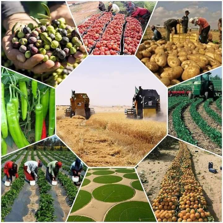 557c5d64bbb43444886802a2db3f5ef9