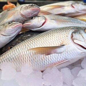 poissons frais