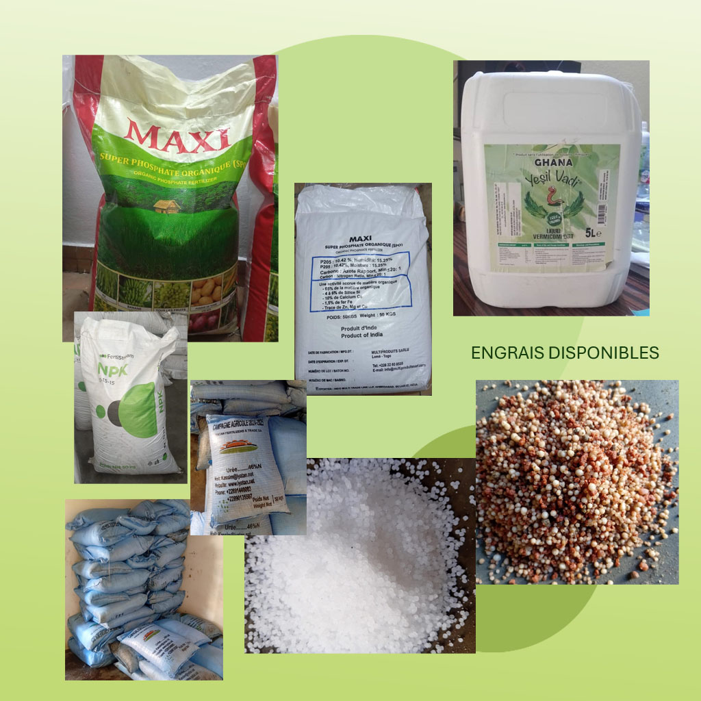 engrais kg busness 10