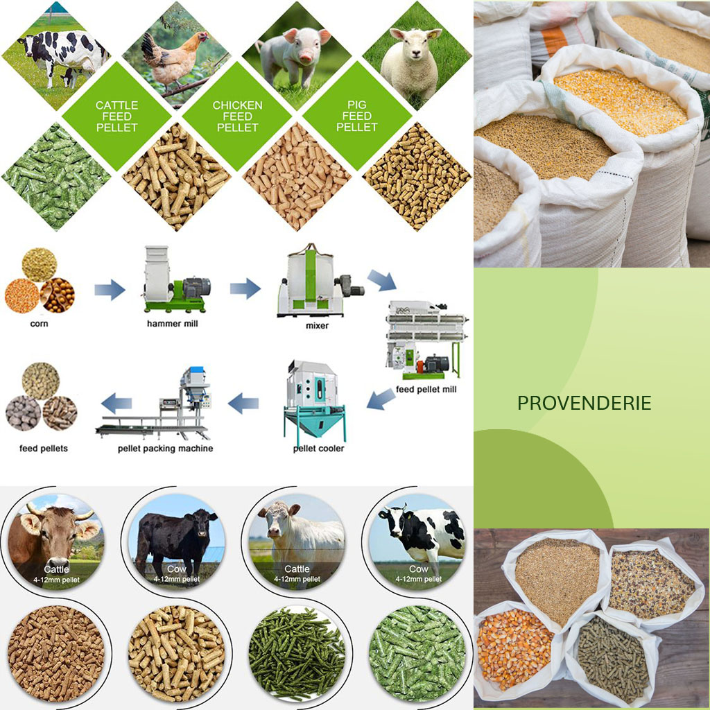 provenderie kg business