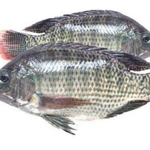 poissons frais