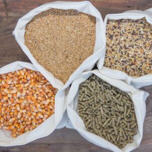 agropastoral / agro alimentaire