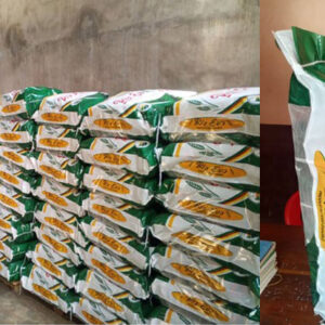 riz evo kg business 1