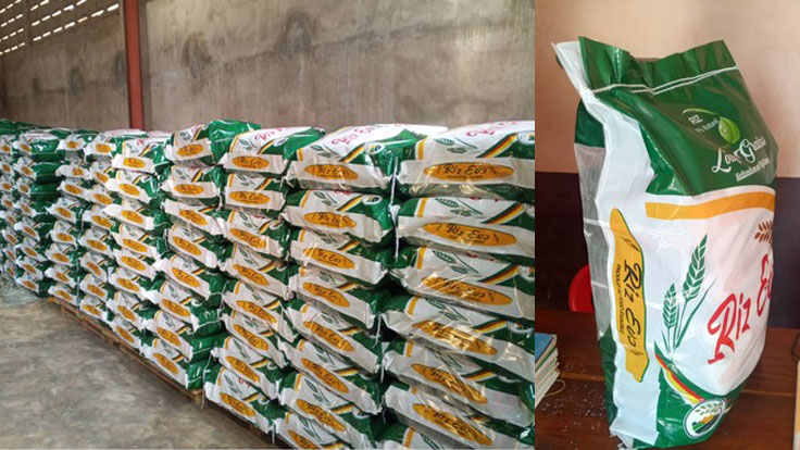 riz evo kg business 1