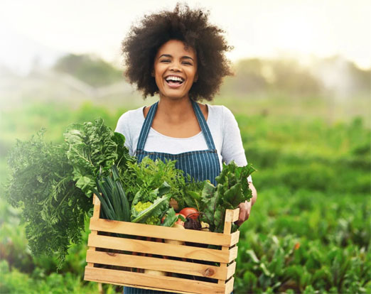agro alimentaire kg business