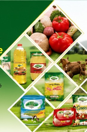 Produits alimentaires KG-BUSINESS : huile, riz, conserves