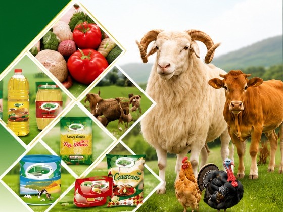 Produits alimentaires et élevage KG-BUSINESS